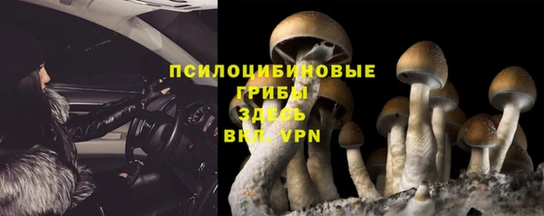 прущие грибы Карталы