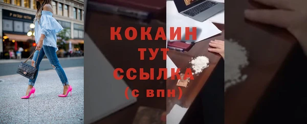 прущие грибы Карталы