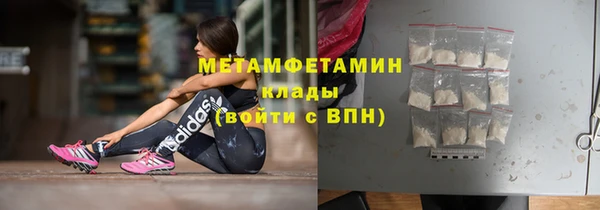 прущие грибы Карталы