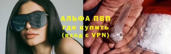 прущие грибы Карталы