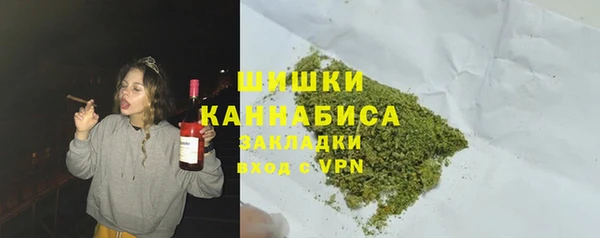 индика Киренск