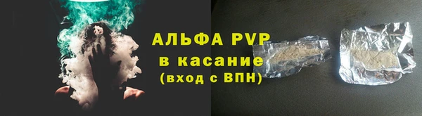 прущие грибы Карталы