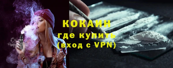 прущие грибы Карталы
